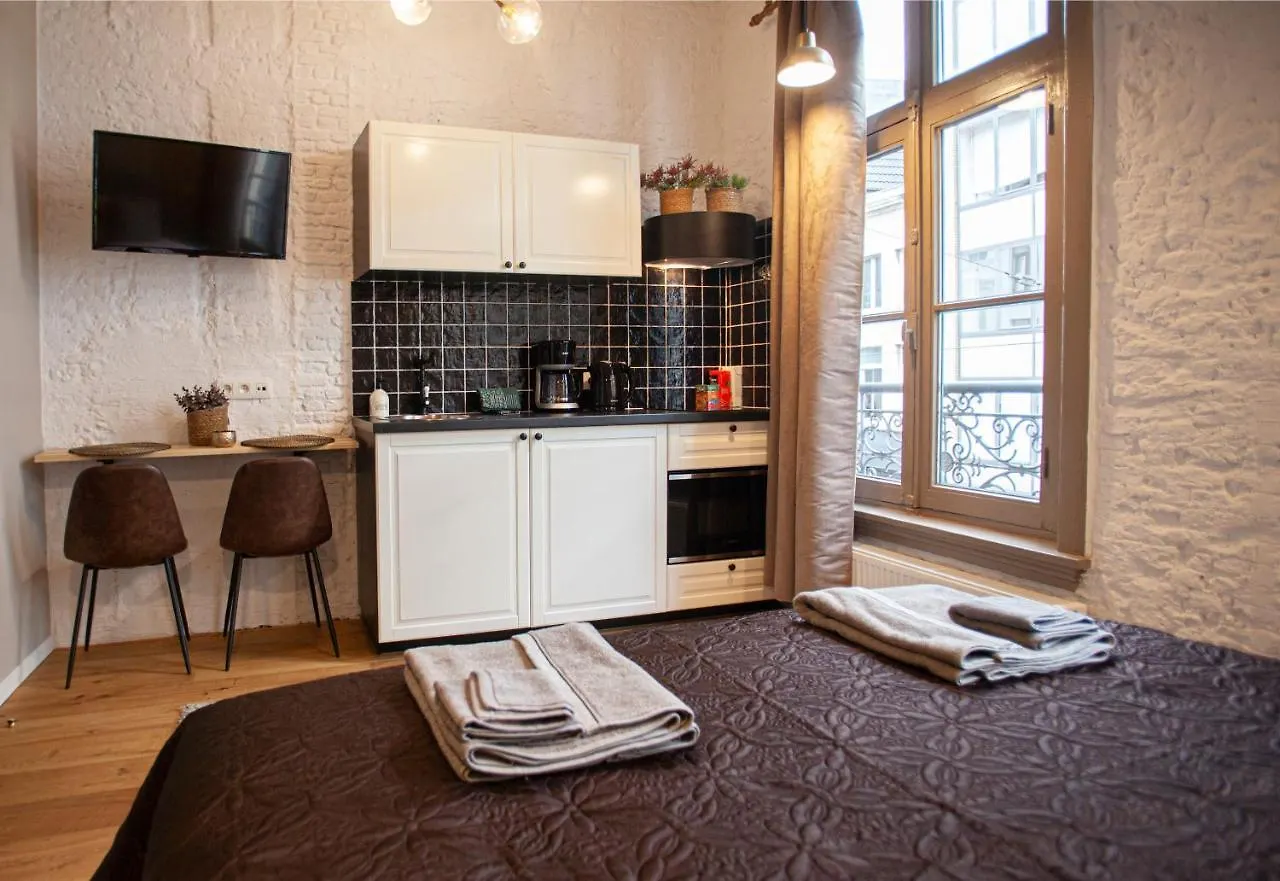 Luxury Suites Meir By Rikas Hotels Antwerp Belgium