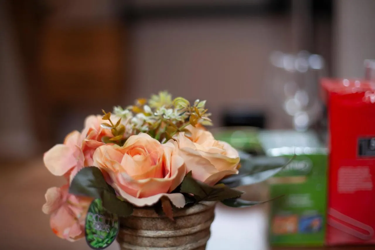 Luxury Suites Meir By Rikas Hotels Antwerp