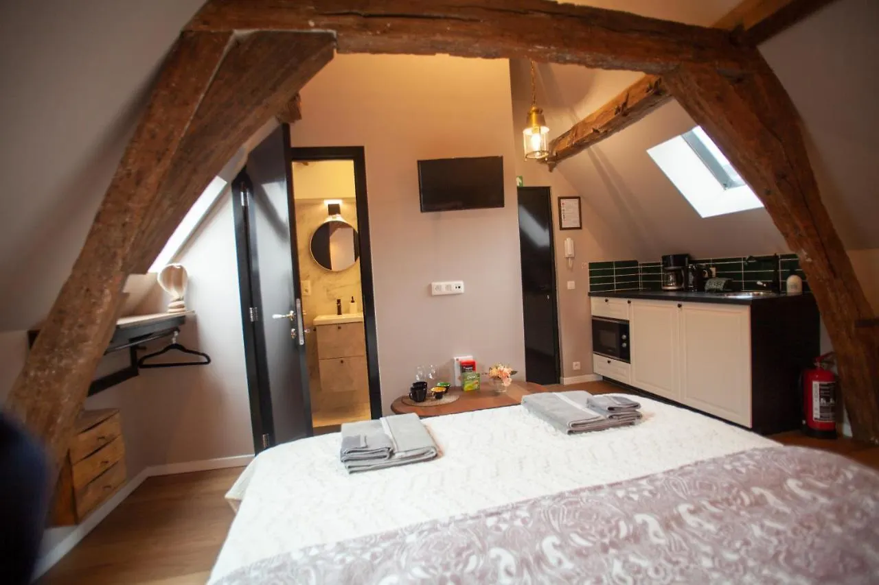 Luxury Suites Meir By Rikas Hotels Antwerp Apartment